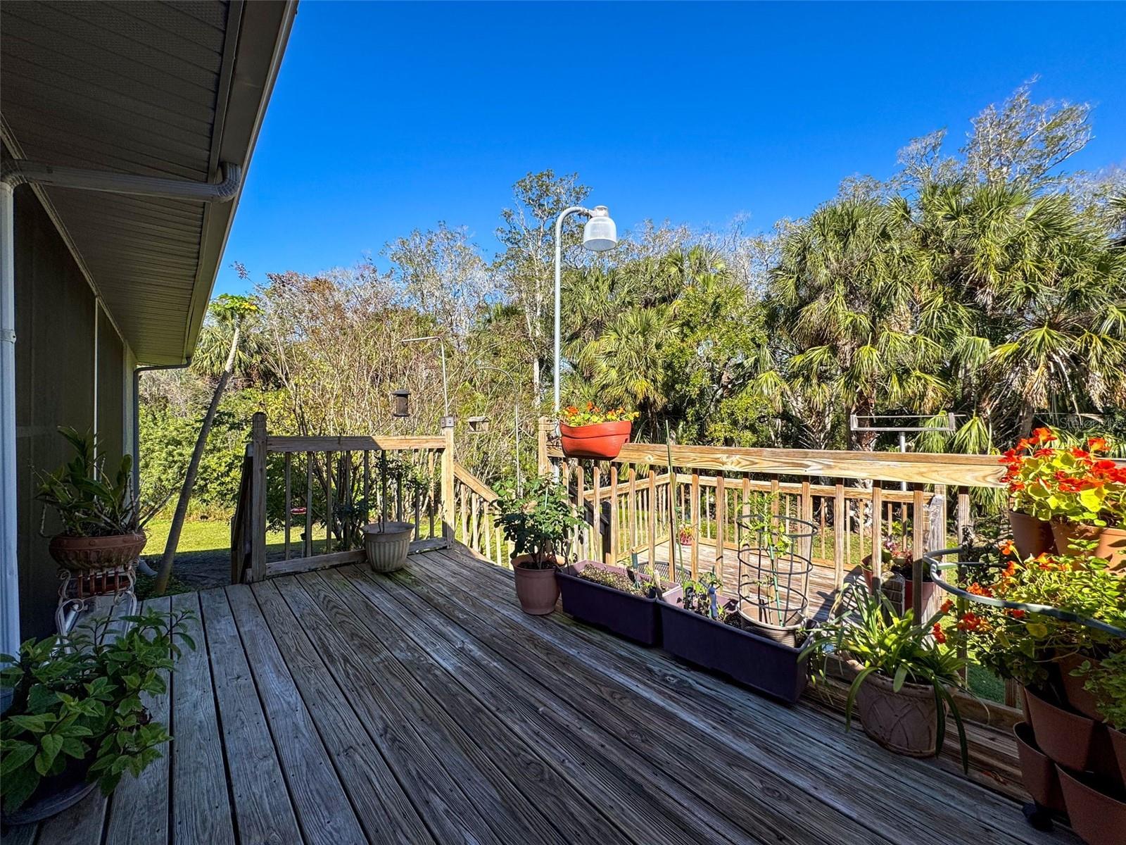 8437 INDIES DR, HUDSON, FL — photo 46