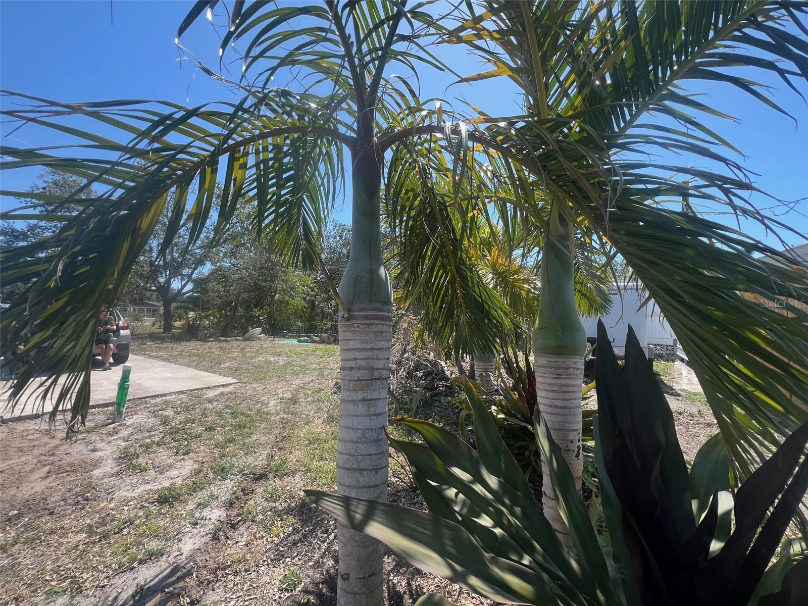 321 RAVENNA ST N, NOKOMIS, FL — photo 16