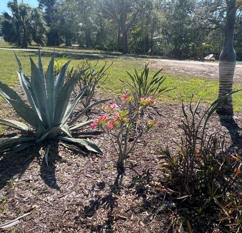 321 RAVENNA ST N, NOKOMIS, FL — photo 18