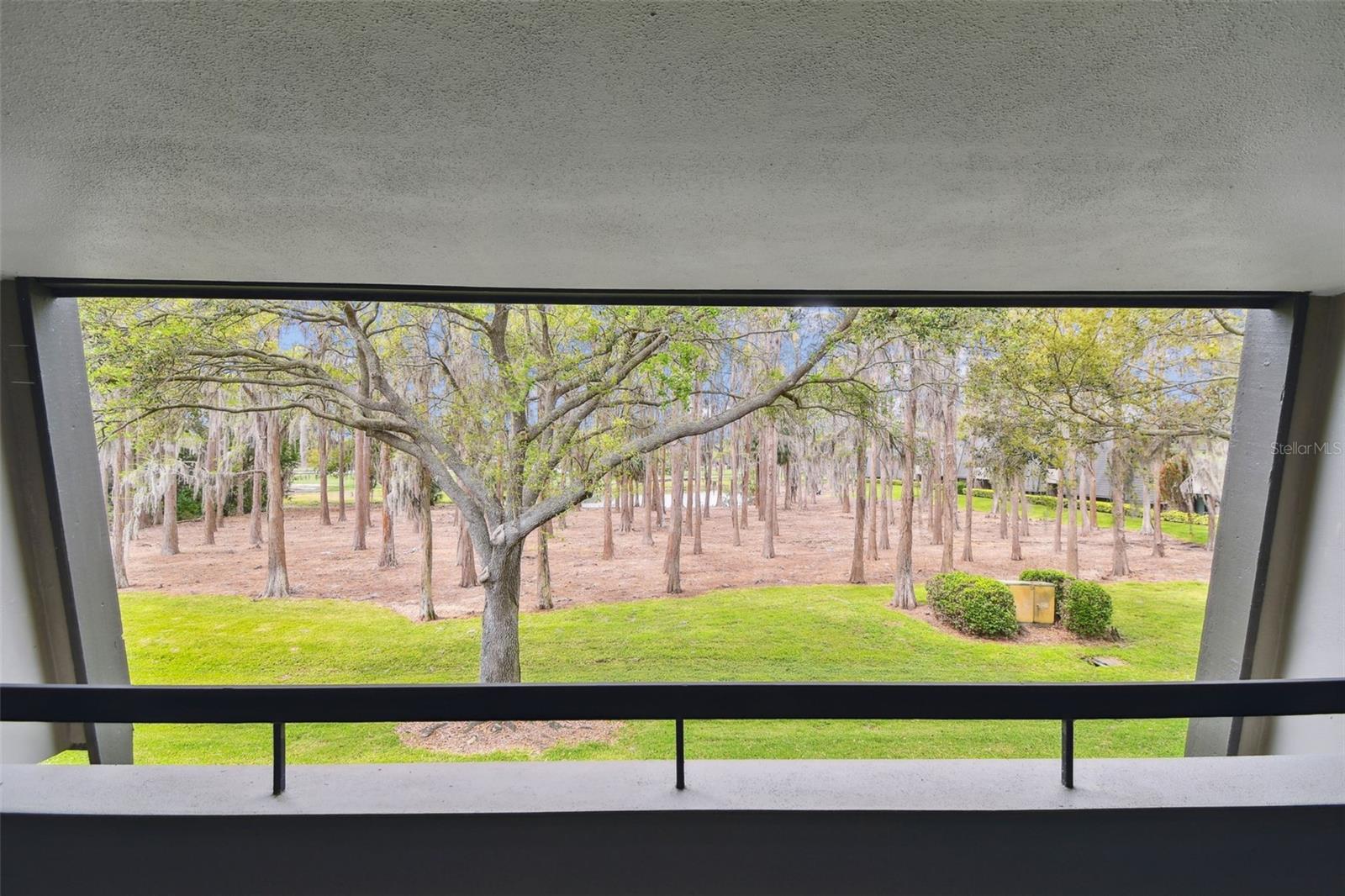 36750 US 19 N #06211, PALM HARBOR, FL — photo 2