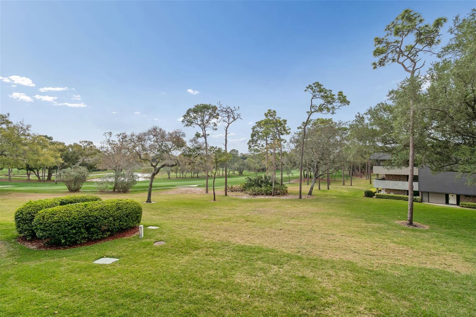 36750 US 19 N #22207, PALM HARBOR, FL — photo 30