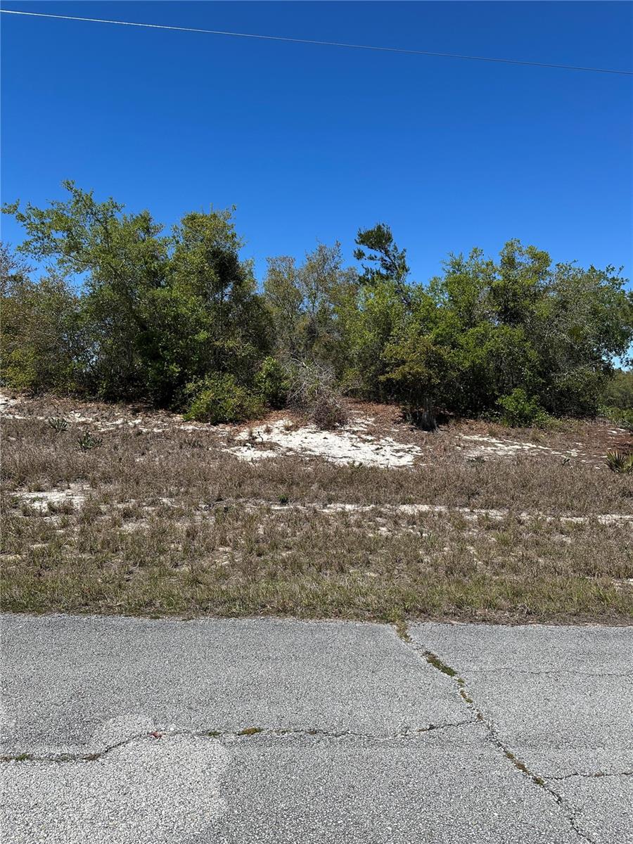 1386 HOMOSASSA DR, KISSIMMEE, FL