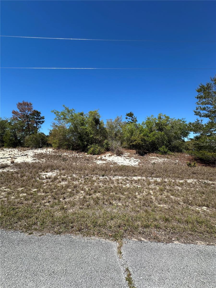 1386 HOMOSASSA DR, KISSIMMEE, FL — photo 2