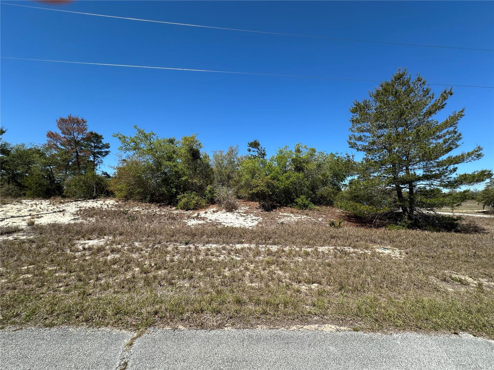 1386 HOMOSASSA DR, KISSIMMEE, FL — photo 3