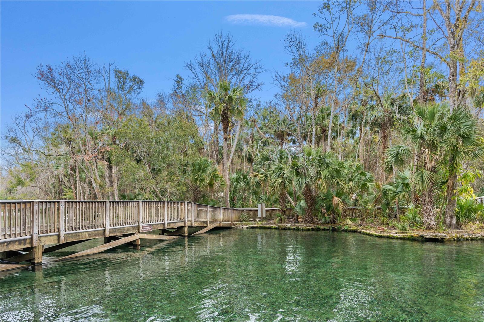 26 E KELLY PARK RD, APOPKA, FL — photo 3