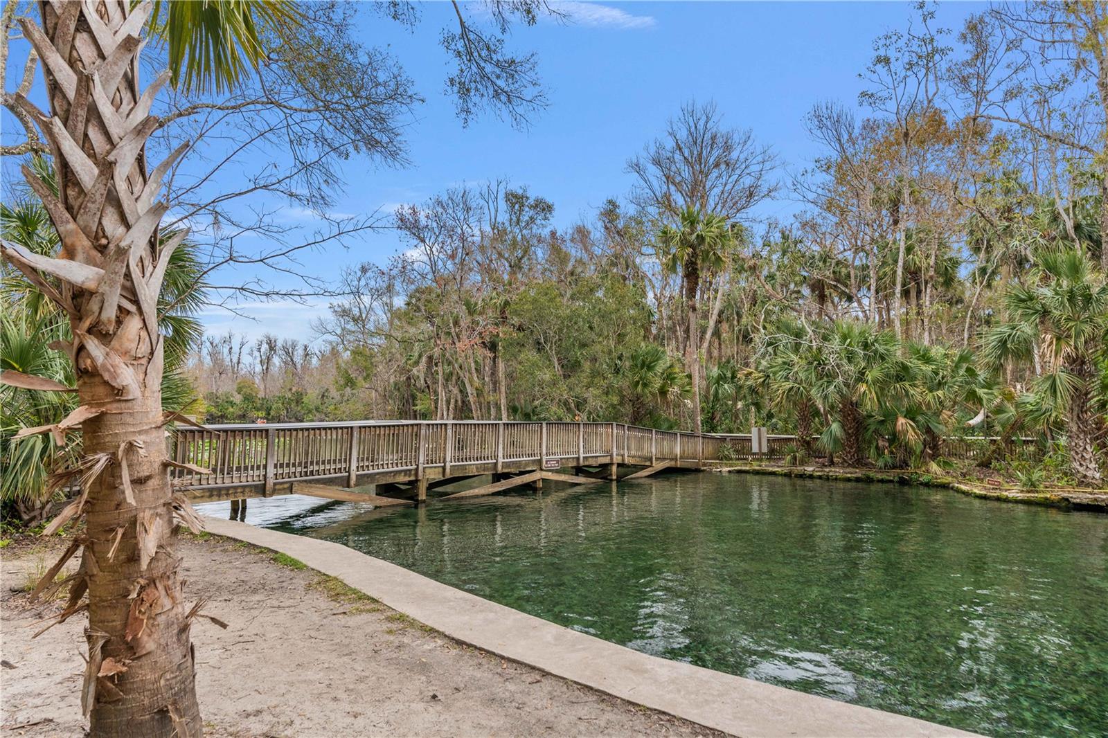 26 E KELLY PARK RD, APOPKA, FL — photo 51