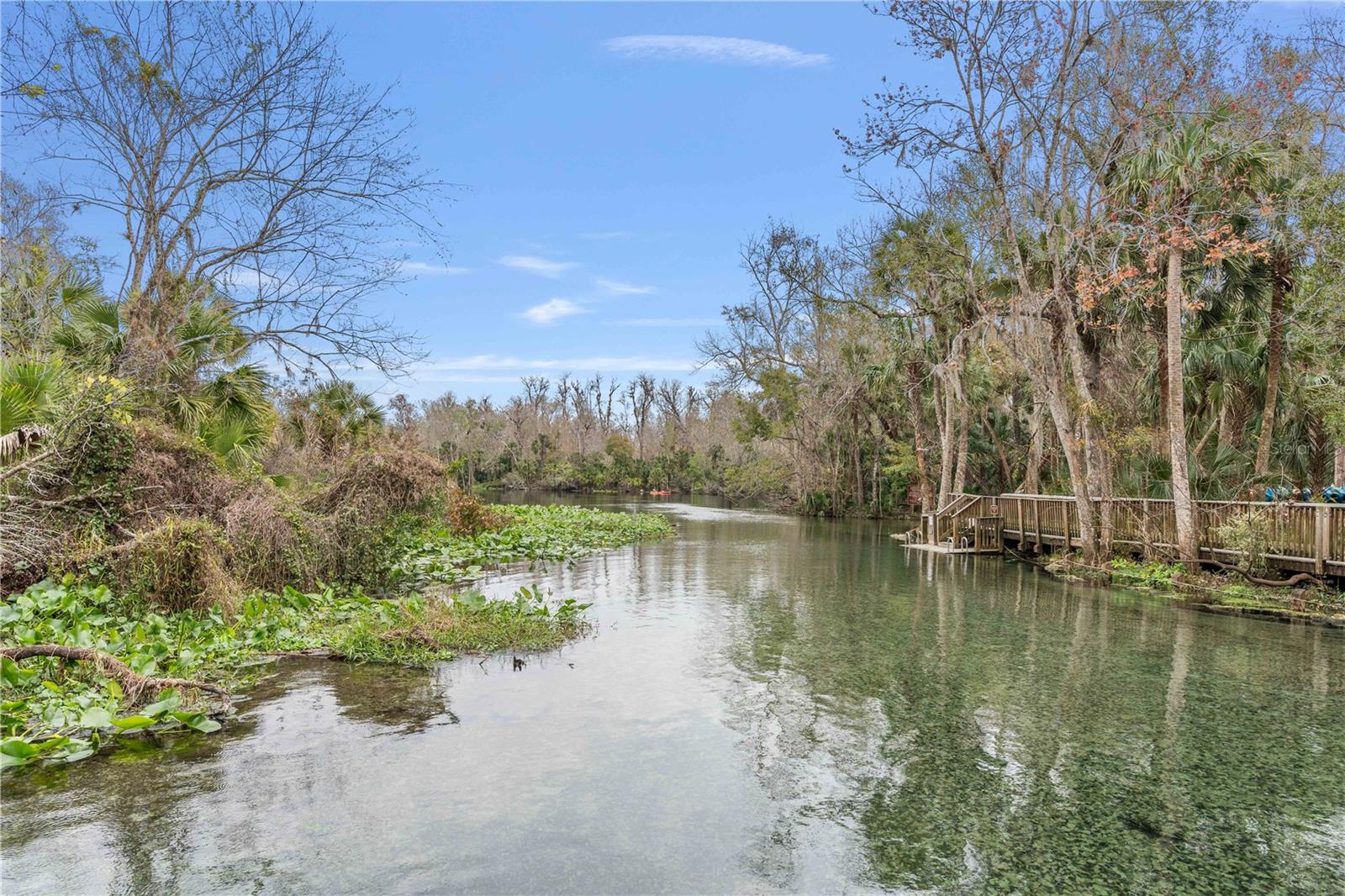 26 E KELLY PARK RD, APOPKA, FL — photo 52