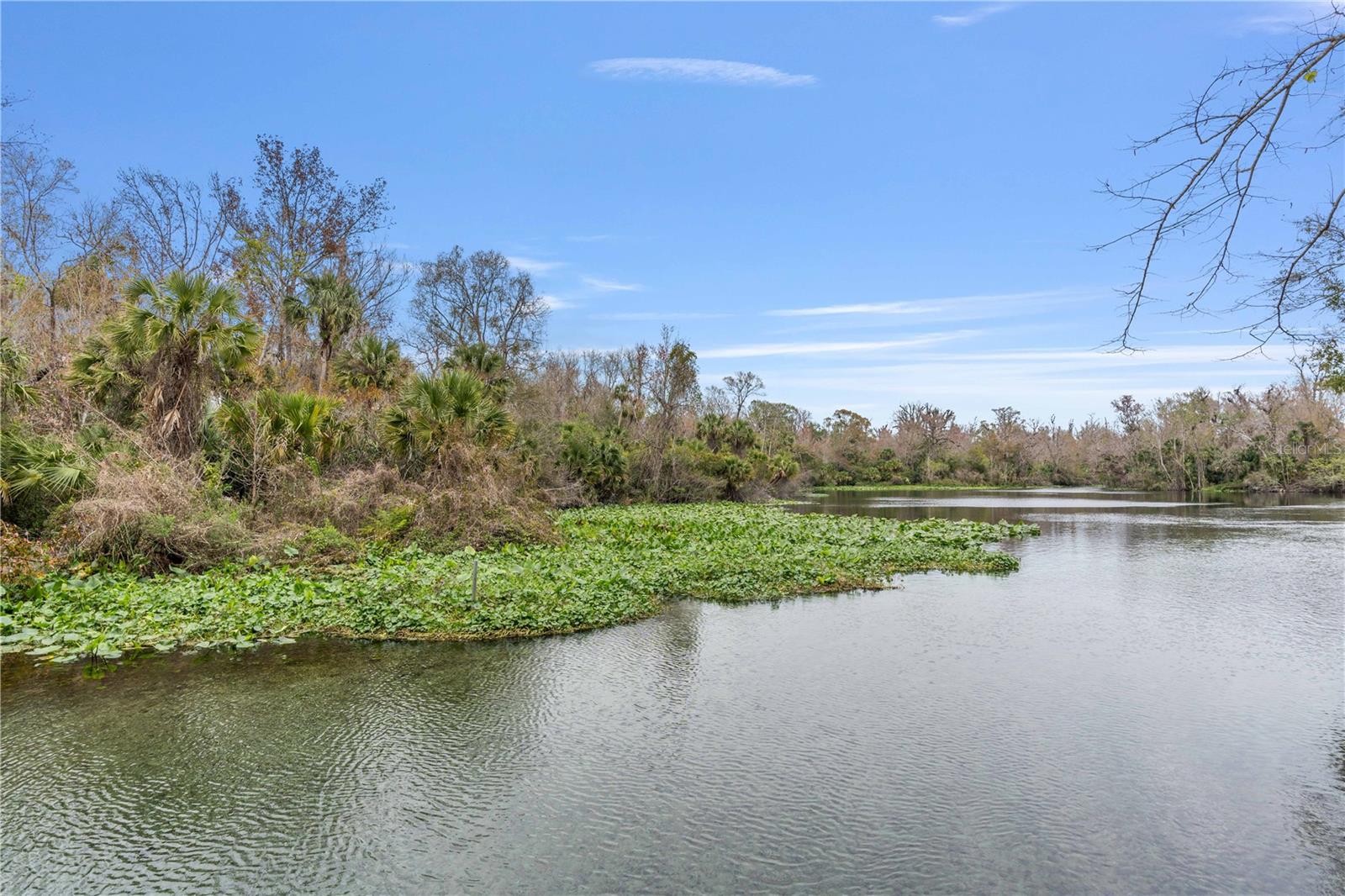 26 E KELLY PARK RD, APOPKA, FL — photo 53