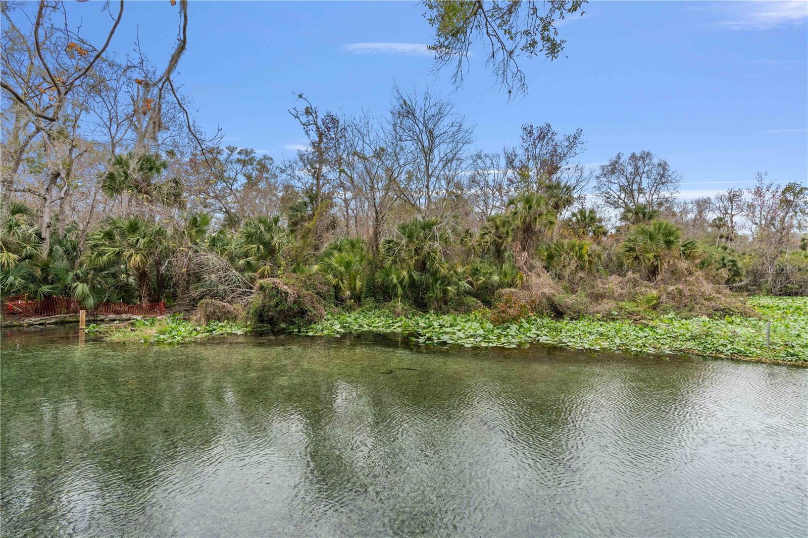 26 E KELLY PARK RD, APOPKA, FL — photo 54