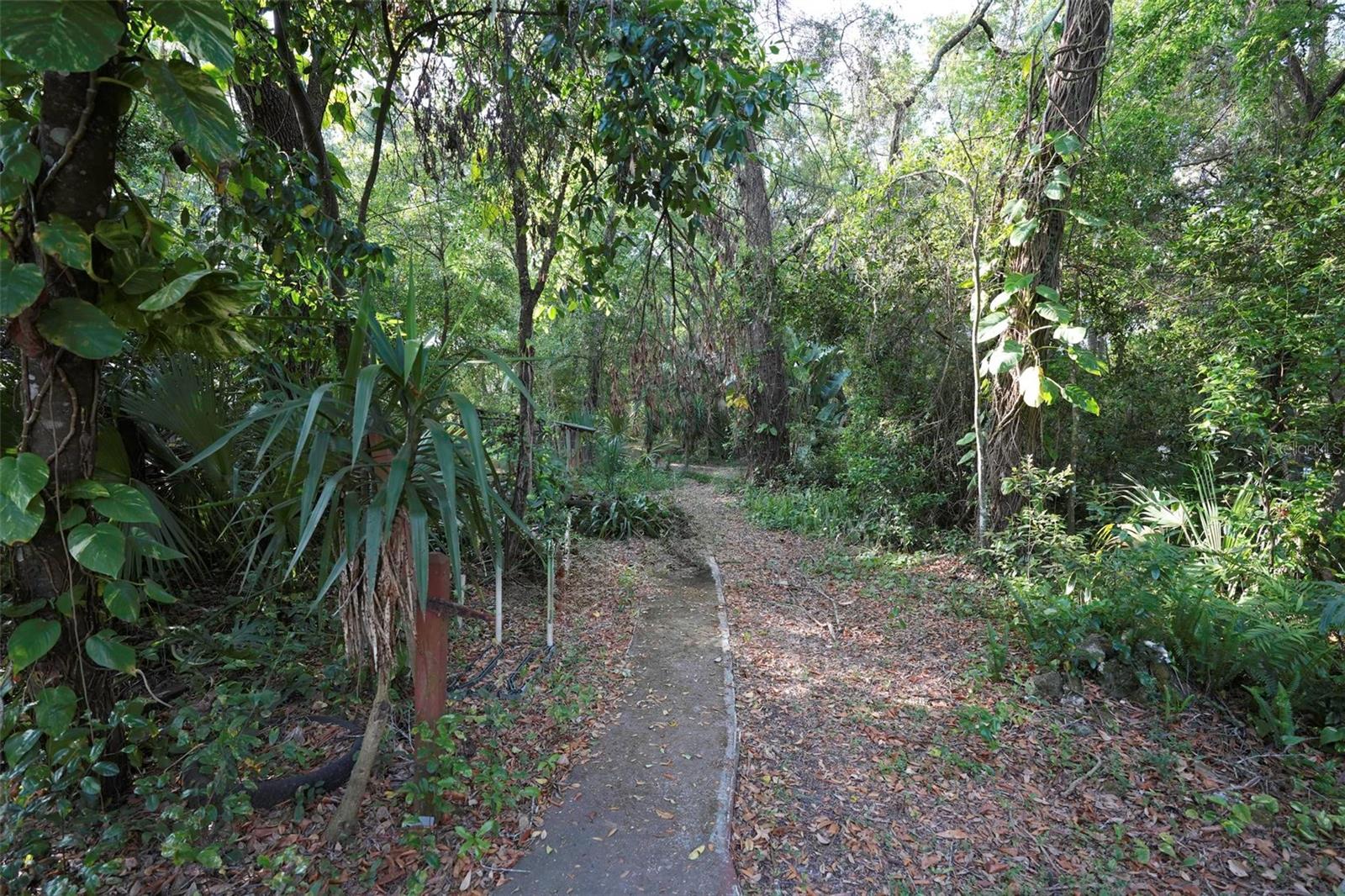 26 E KELLY PARK RD, APOPKA, FL — photo 23