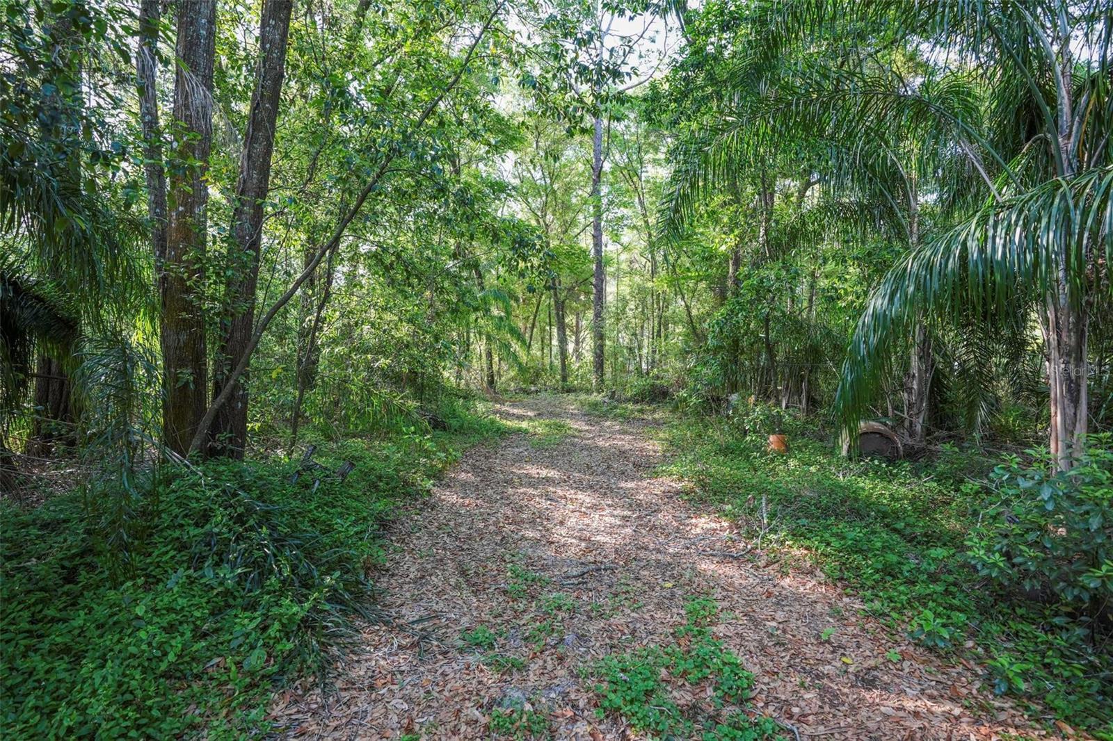 26 E KELLY PARK RD, APOPKA, FL — photo 35