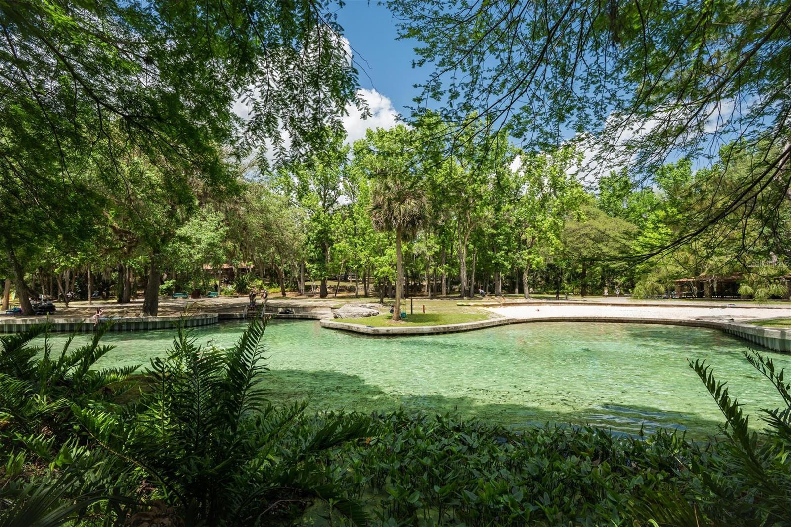 26 E KELLY PARK RD, APOPKA, FL — photo 59