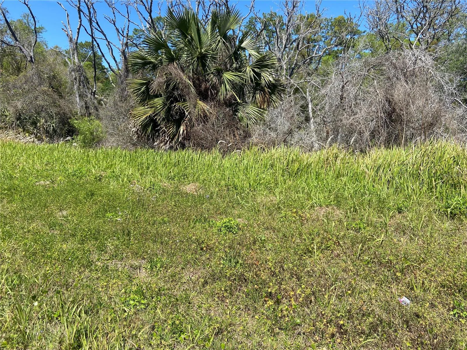 PARCEL 27 15 30 00 00 0160, DE LEON SPRINGS, FL — photo 4