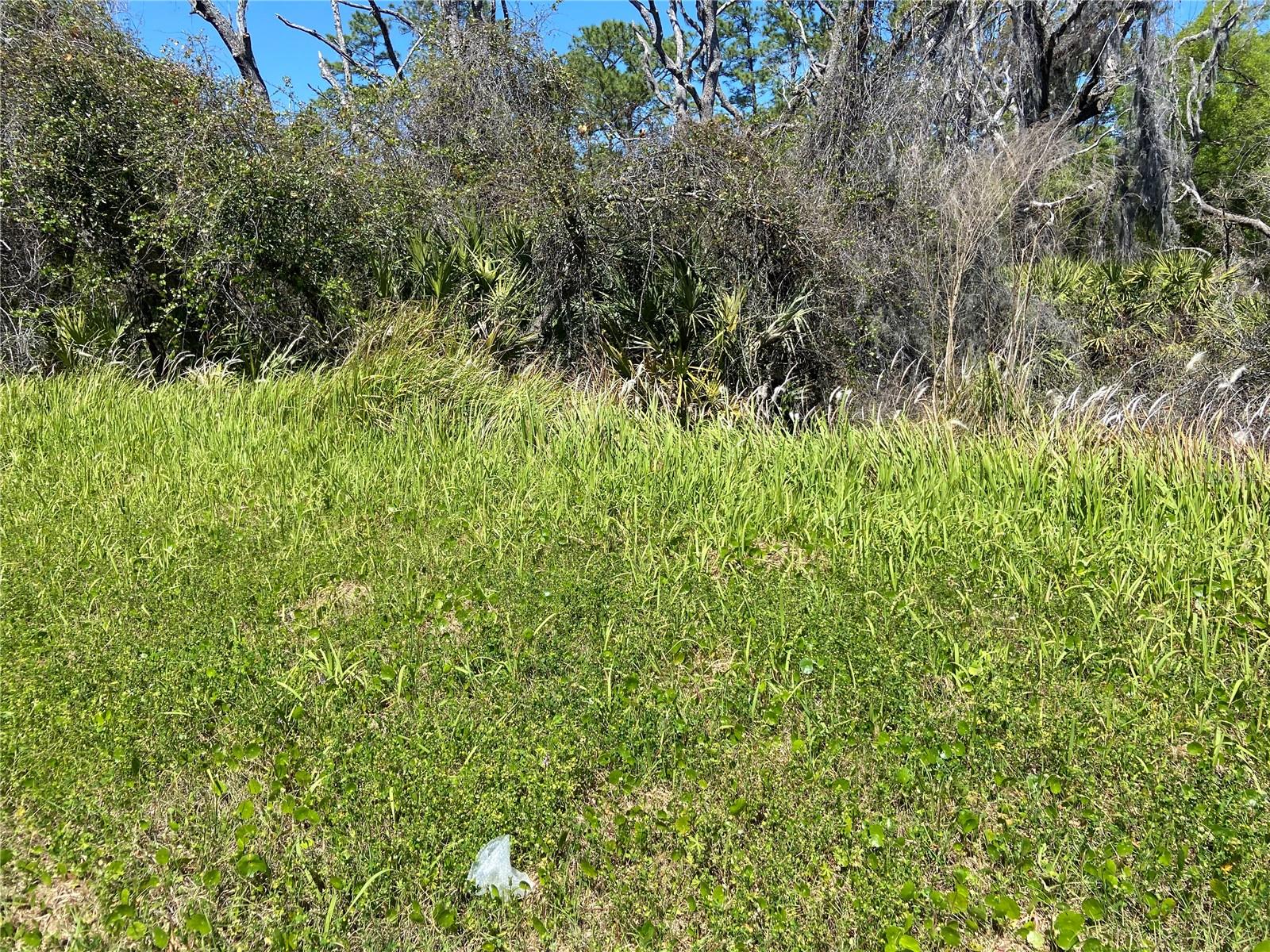 PARCEL 27 15 30 00 00 0160, DE LEON SPRINGS, FL — photo 5