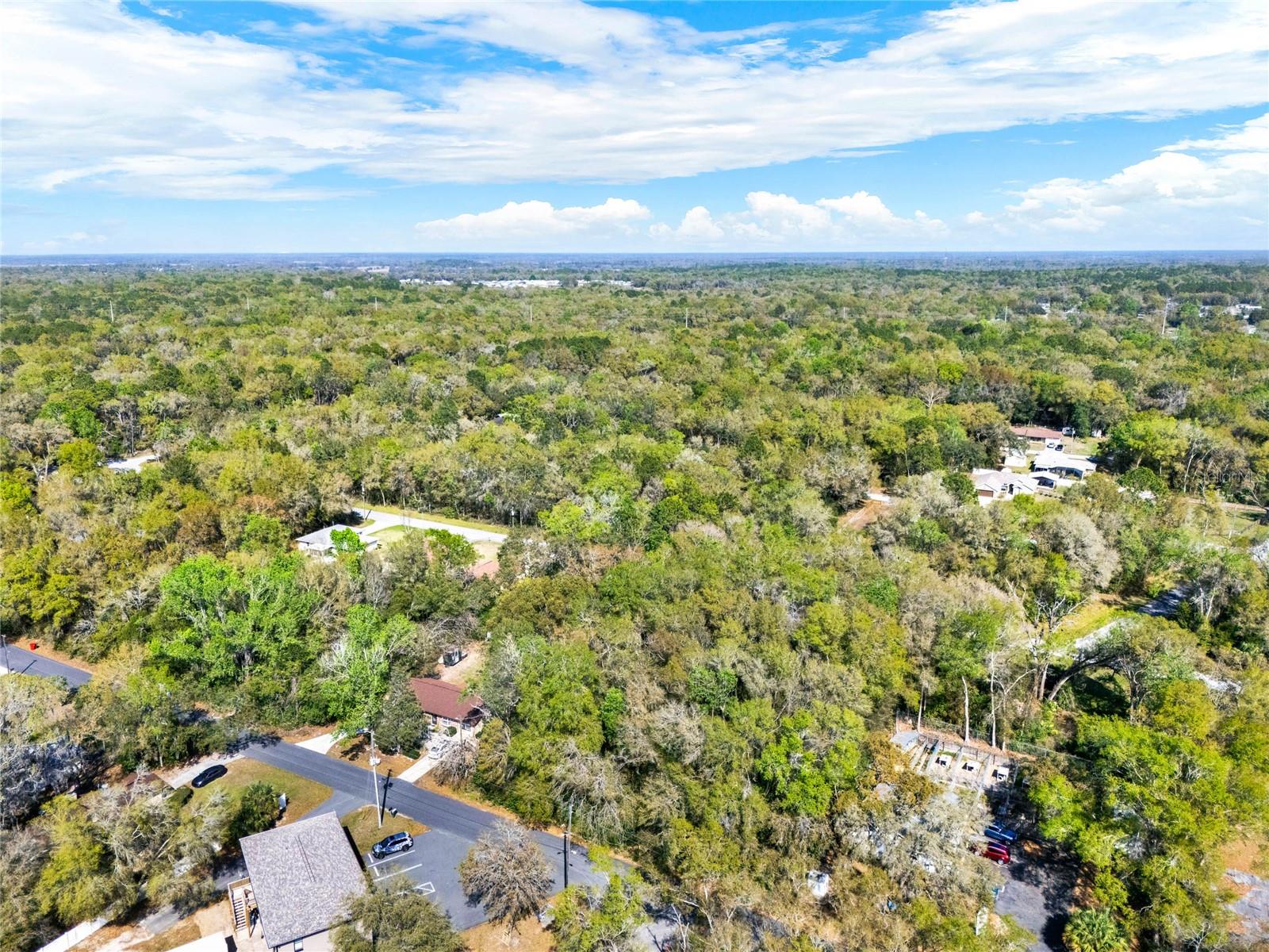 709 S SMITH AVE, INVERNESS, FL — photo 7