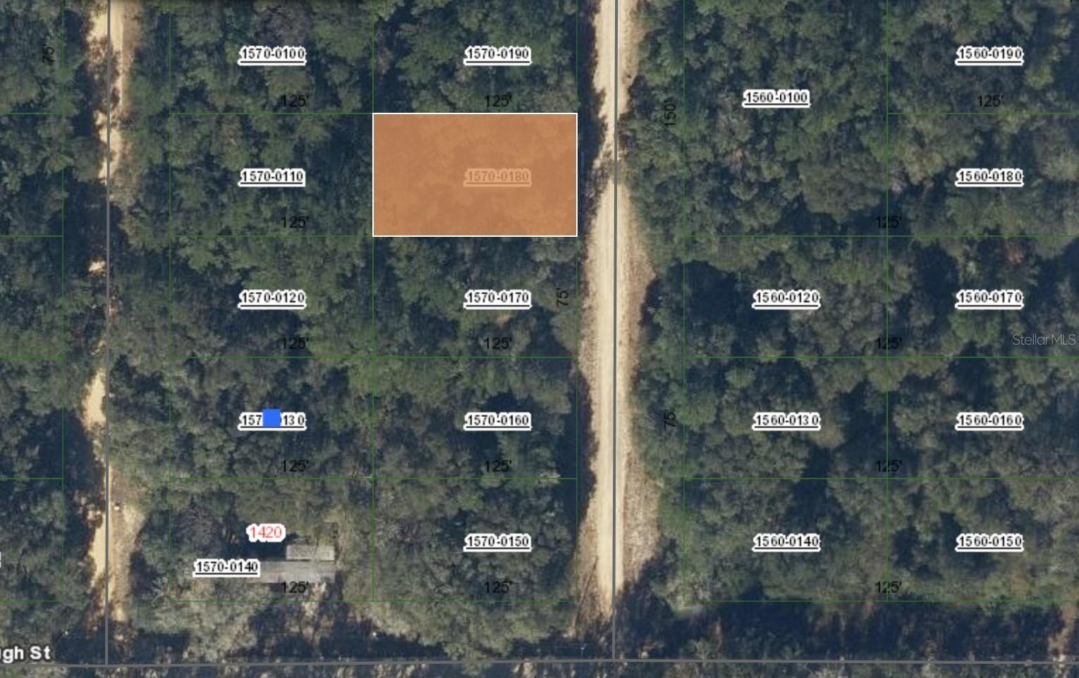 00 DONYS AVE, INTERLACHEN, FL
