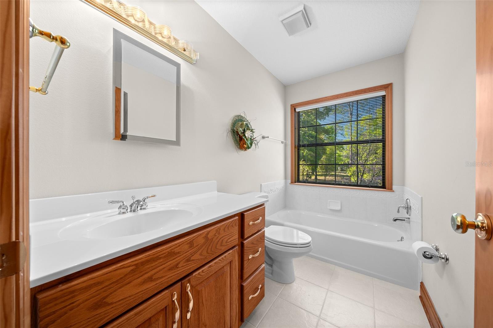 39636 CAROLINA AVE, LADY LAKE, FL — photo 83