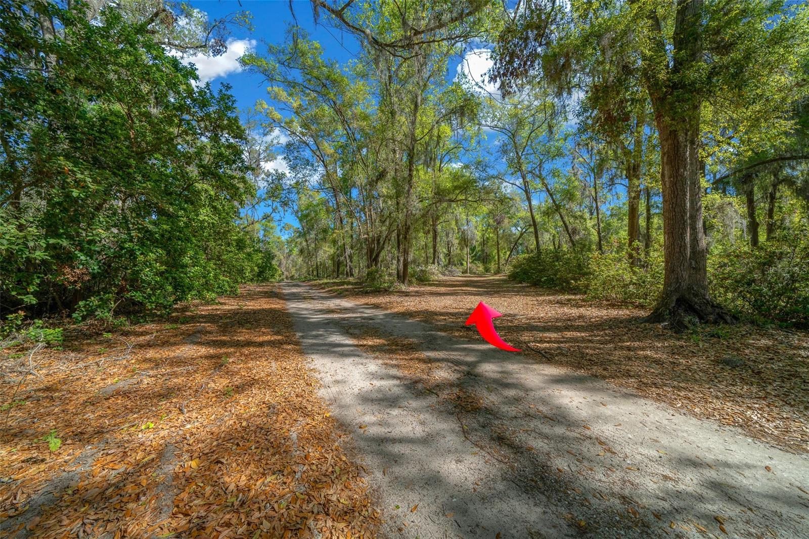 39636 CAROLINA AVE, LADY LAKE, FL — photo 120