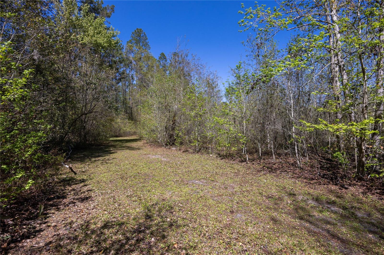 6917 NW 254TH AVE, ALACHUA, FL — photo 99