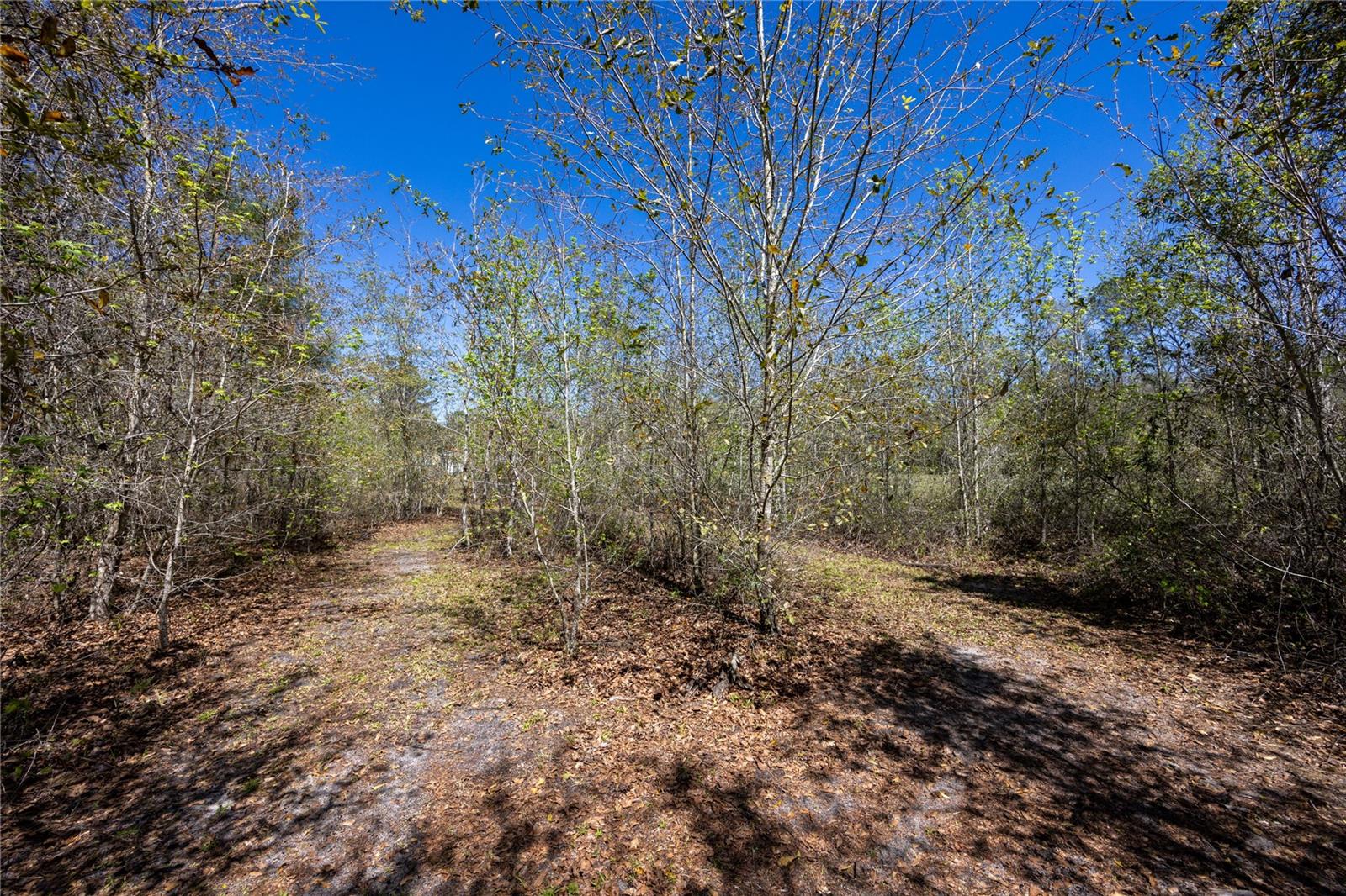 6917 NW 254TH AVE, ALACHUA, FL — photo 79