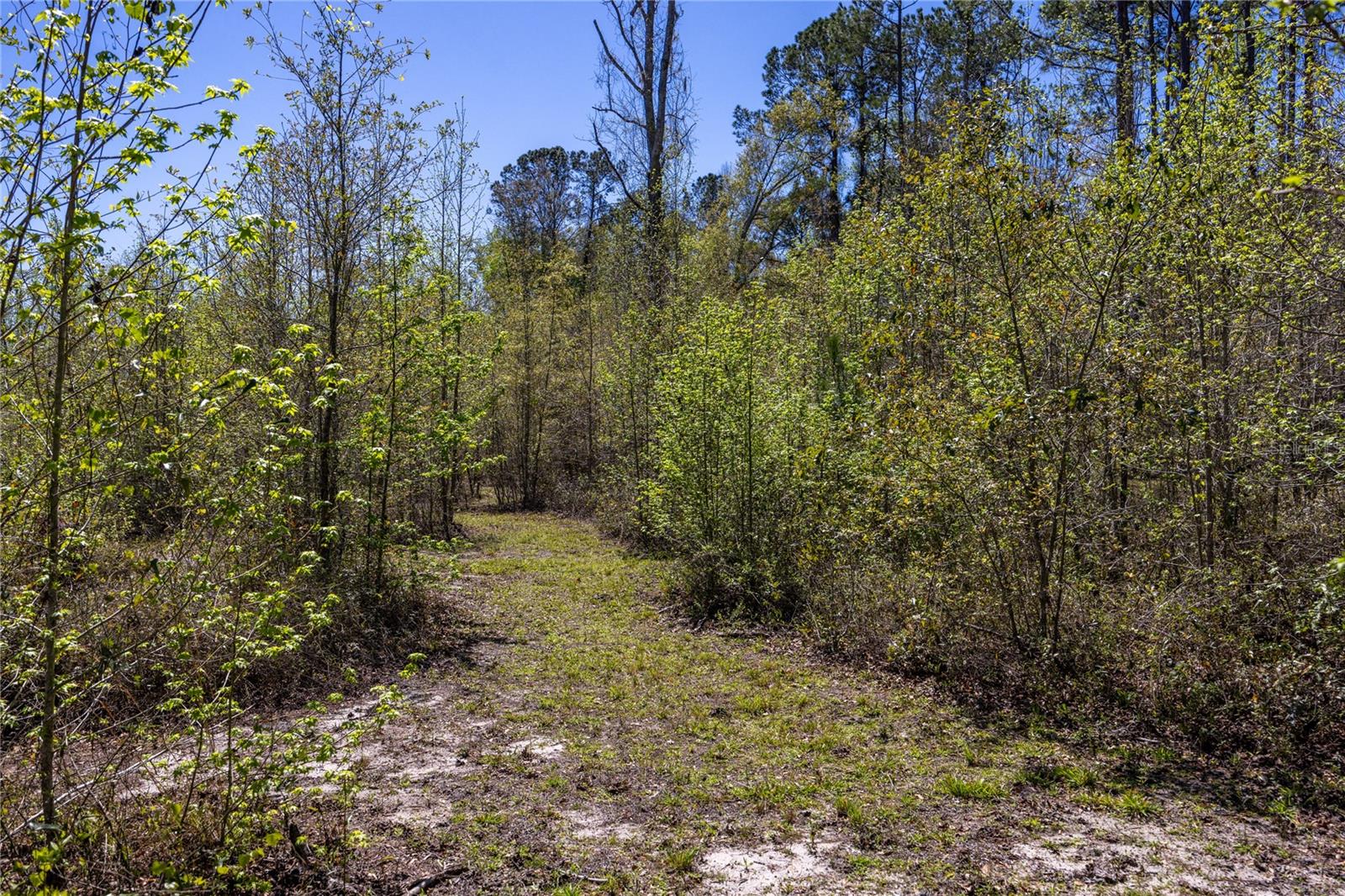 6917 NW 254TH AVE, ALACHUA, FL — photo 80