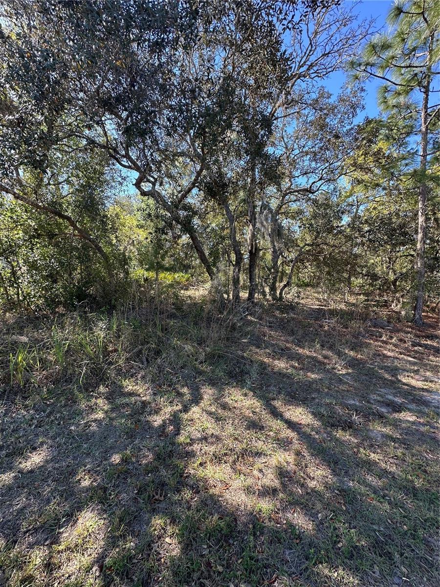 7 SWEETBAY CT, HOMOSASSA, FL — photo 2