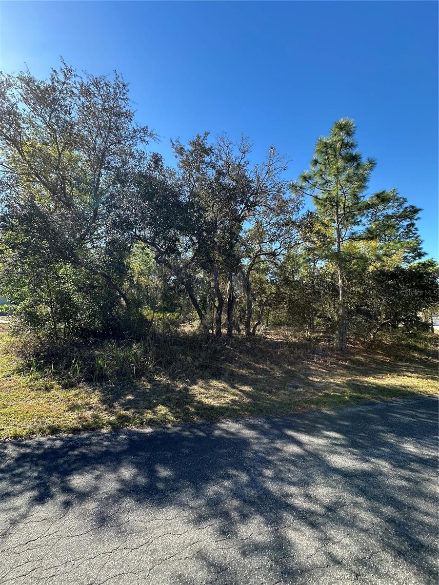 7 SWEETBAY CT, HOMOSASSA, FL — photo 4