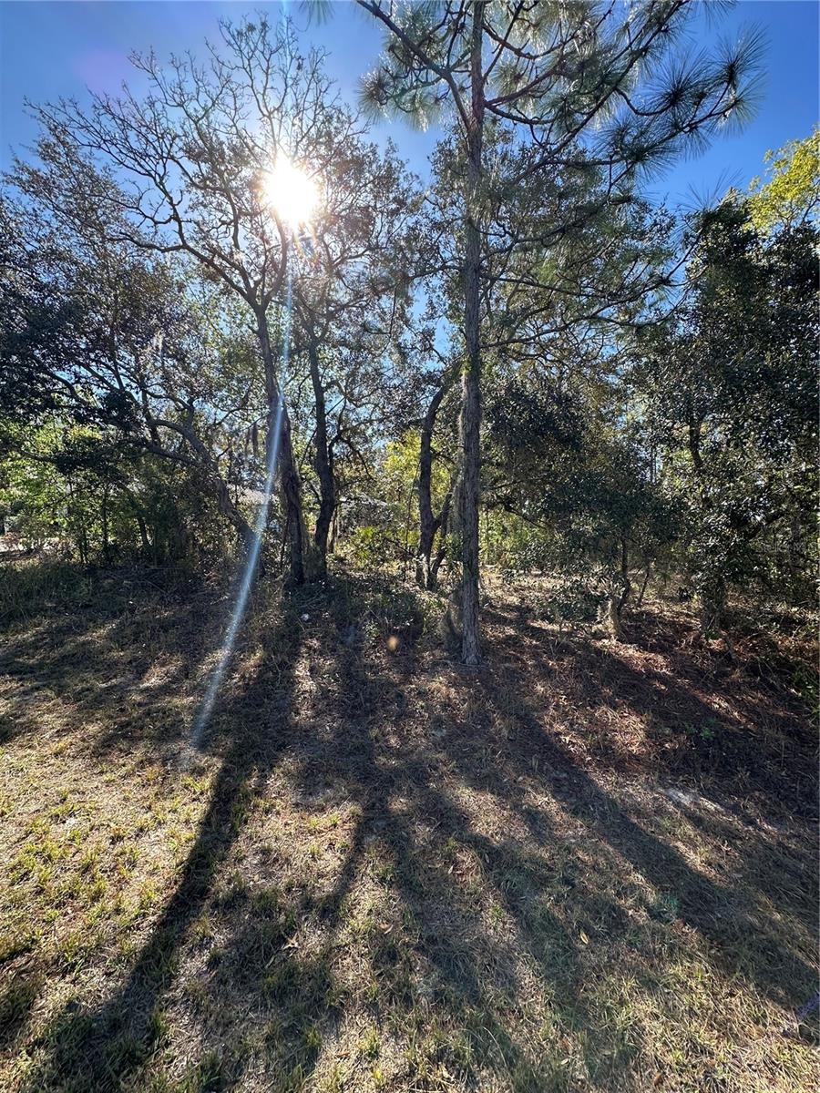 7 SWEETBAY CT, HOMOSASSA, FL — photo 5