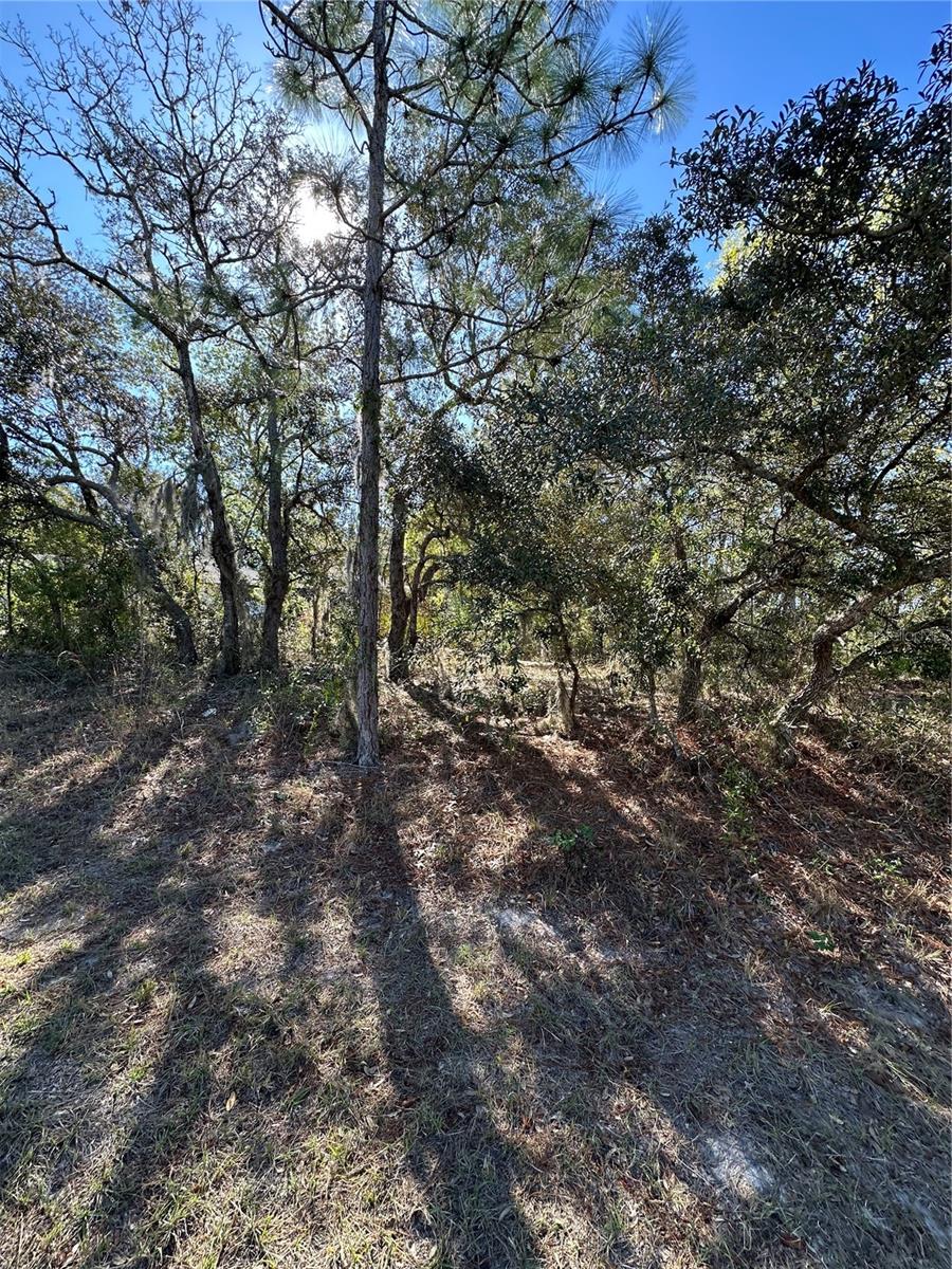 7 SWEETBAY CT, HOMOSASSA, FL — photo 6