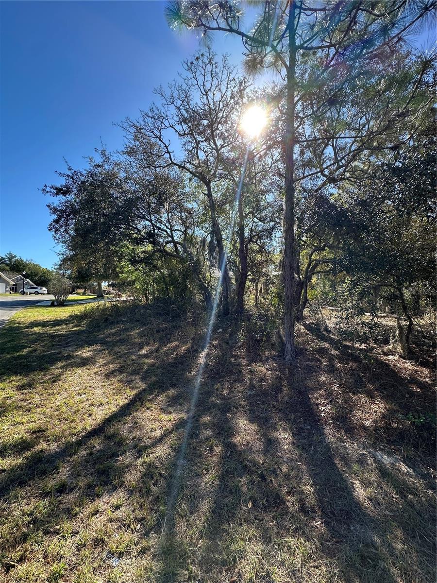 7 SWEETBAY CT, HOMOSASSA, FL — photo 7