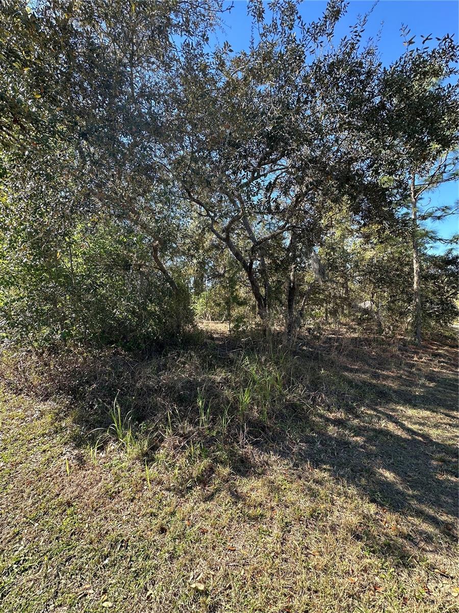 7 SWEETBAY CT, HOMOSASSA, FL — photo 8