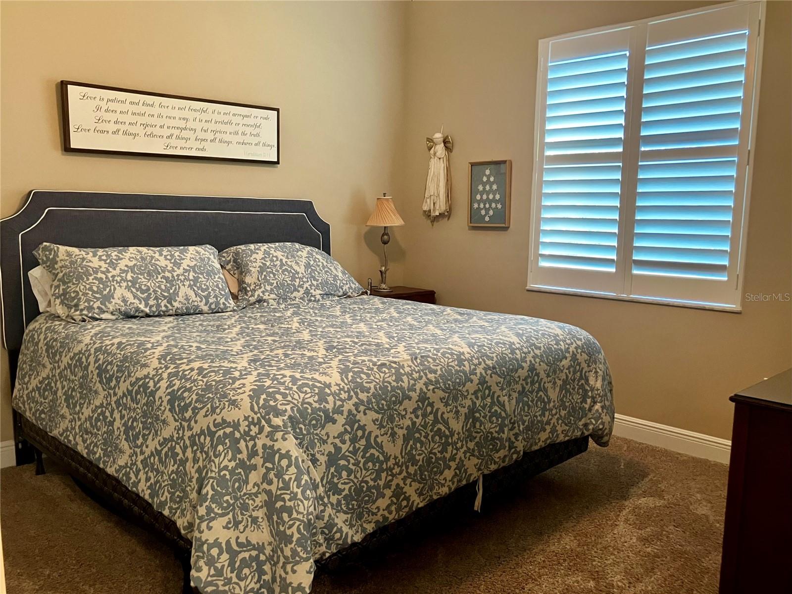 3709 GALLAGHER RD, PLANT CITY, FL — photo 100