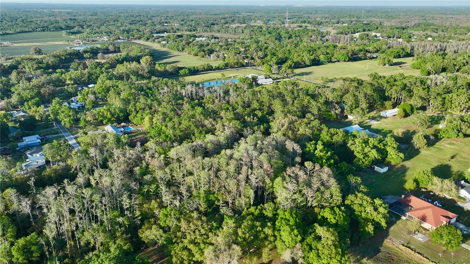 3709 GALLAGHER RD, PLANT CITY, FL — photo 115