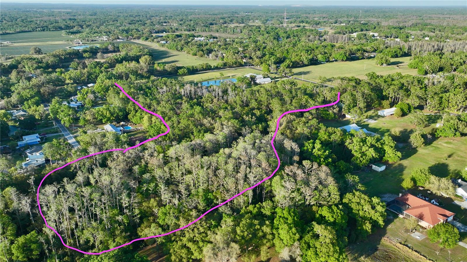 3709 GALLAGHER RD, PLANT CITY, FL — photo 117