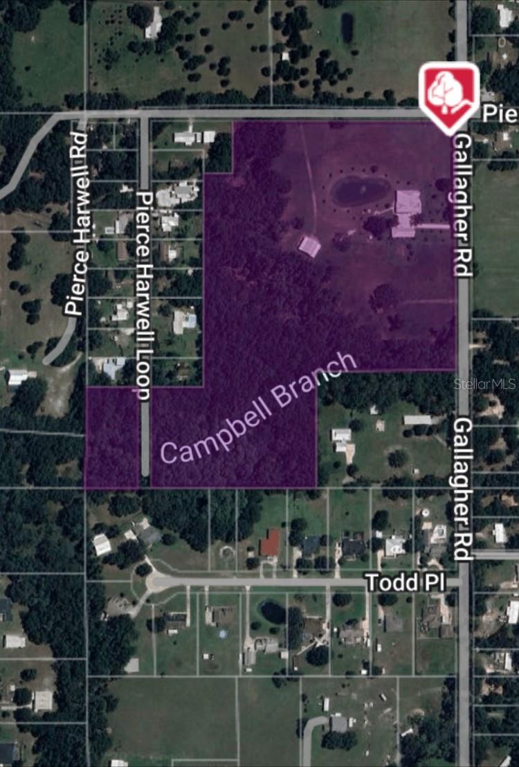3709 GALLAGHER RD, PLANT CITY, FL — photo 120