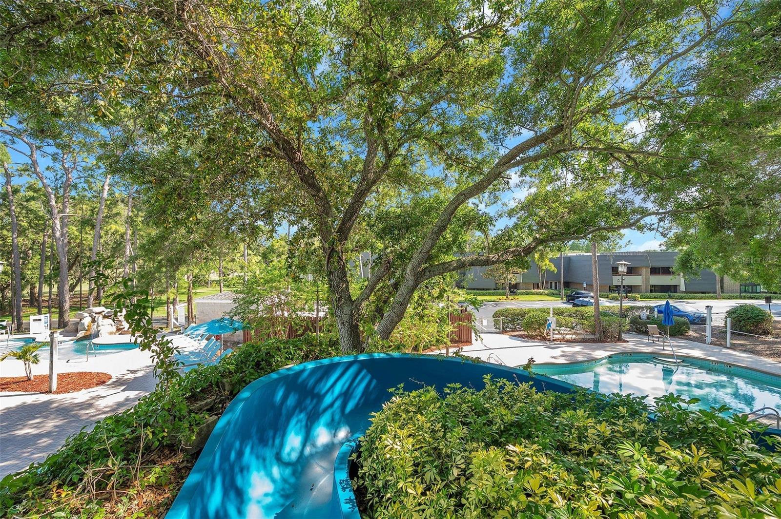 36750 US 19 N #2763, PALM HARBOR, FL — photo 44