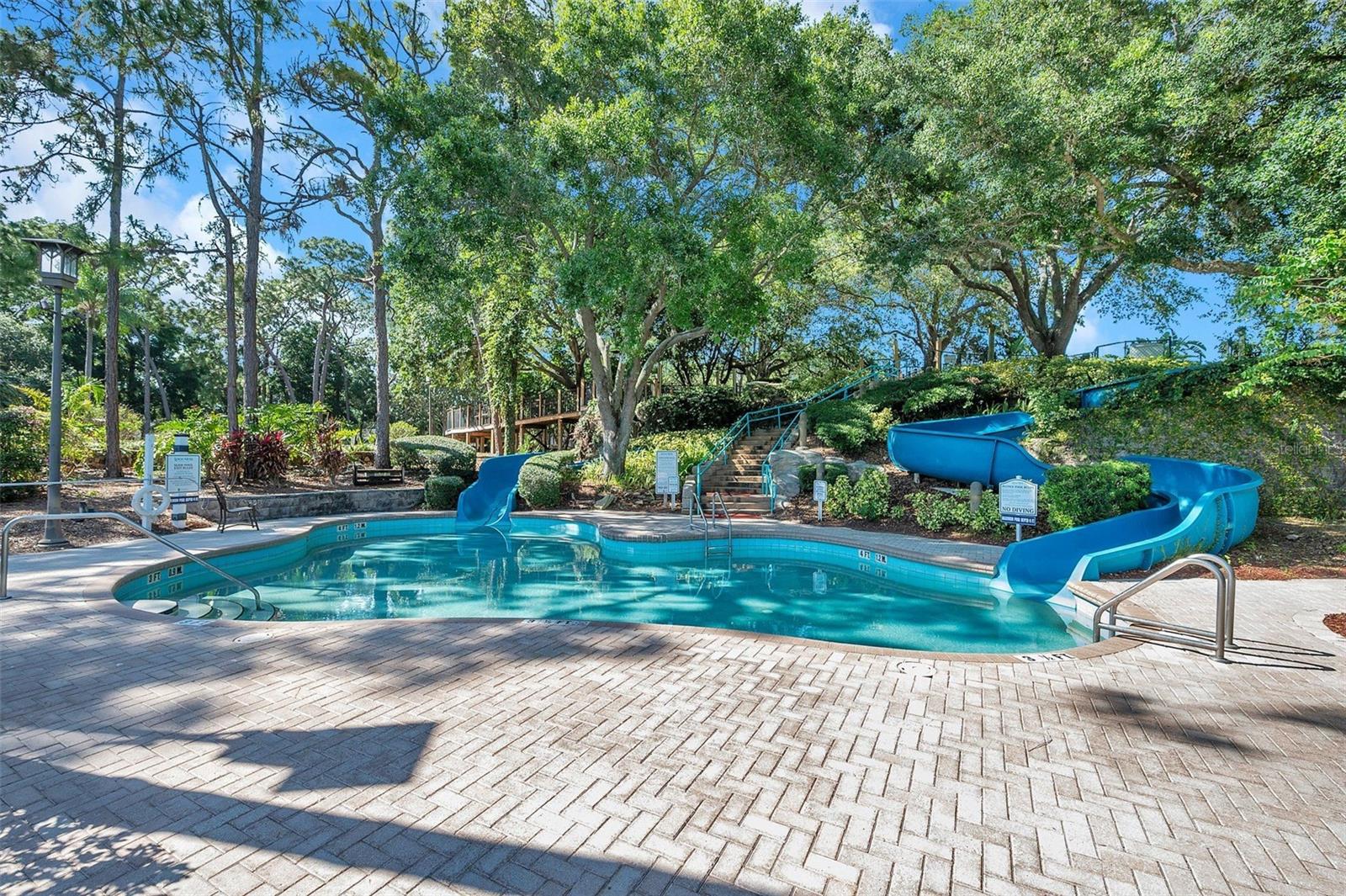 36750 US 19 N #2763, PALM HARBOR, FL — photo 50