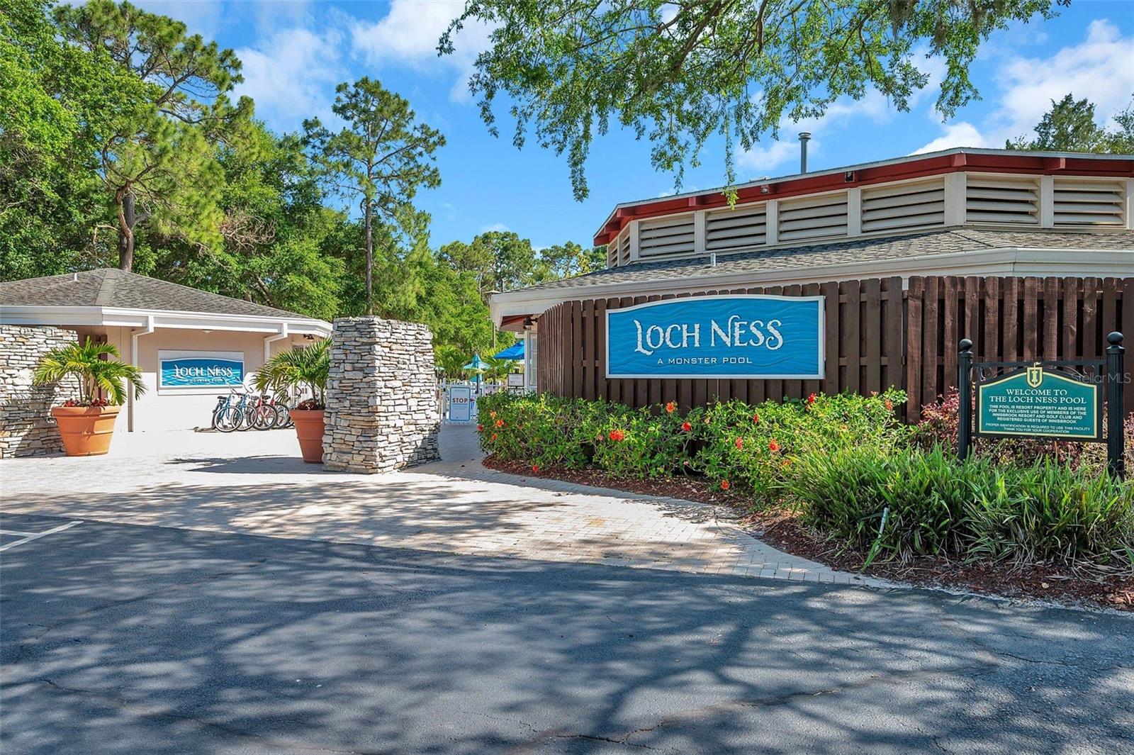 36750 US 19 N #2763, PALM HARBOR, FL — photo 40