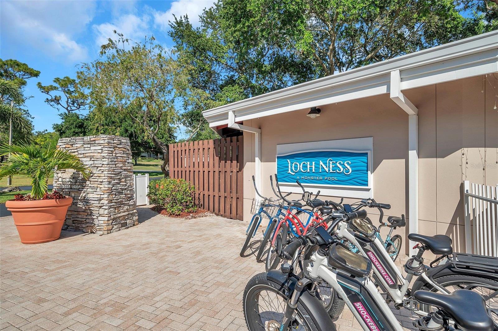 36750 US 19 N #2763, PALM HARBOR, FL — photo 47
