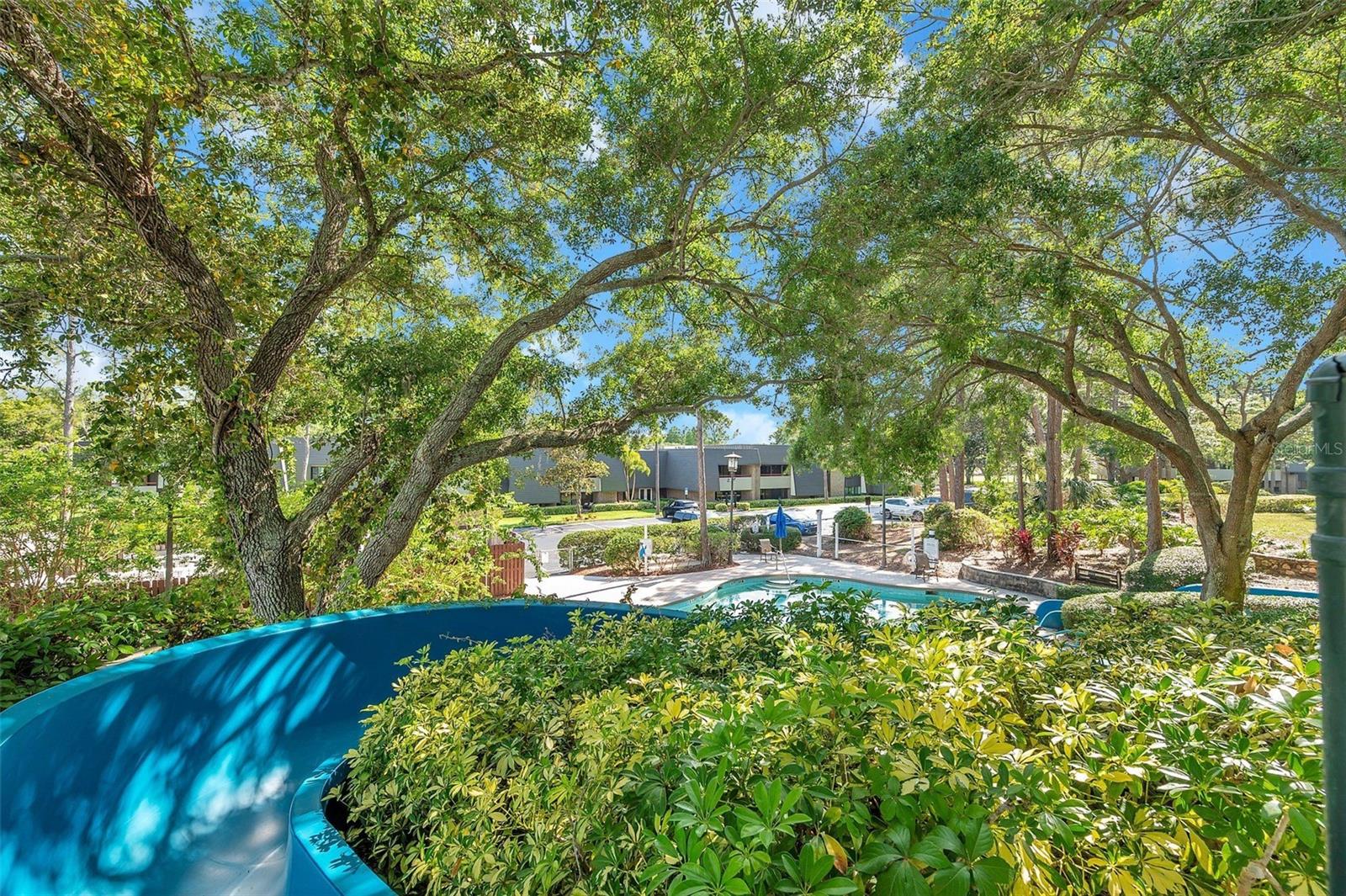 36750 US 19 N #2763, PALM HARBOR, FL — photo 45