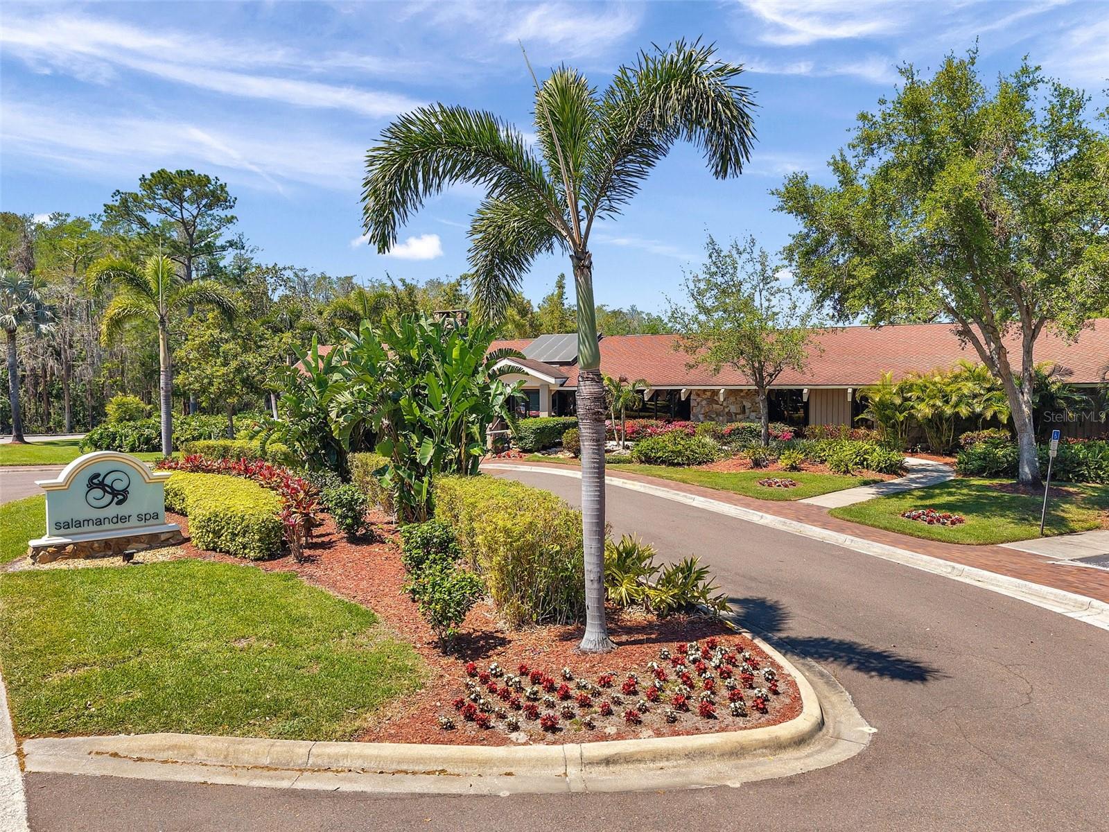 36750 US 19 N #2763, PALM HARBOR, FL — photo 55