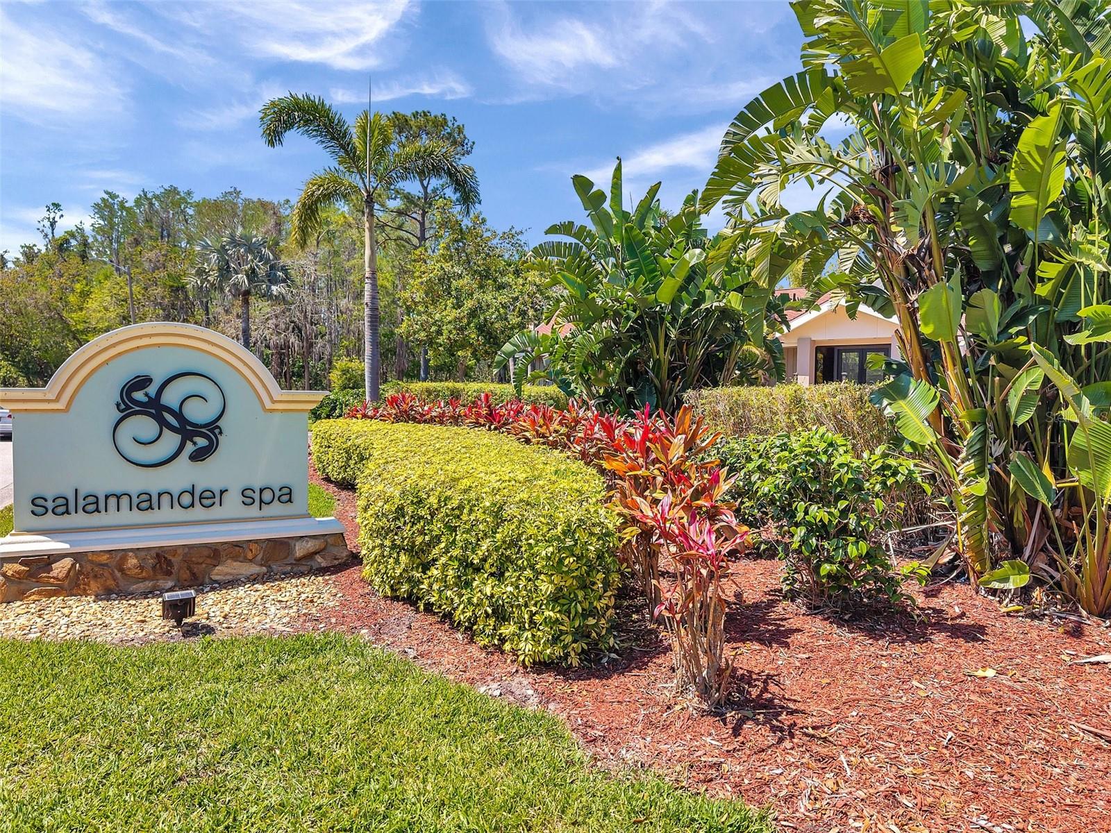 36750 US 19 N #2763, PALM HARBOR, FL — photo 76