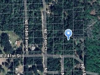 NE 153RD CT, FORT MC COY, FL