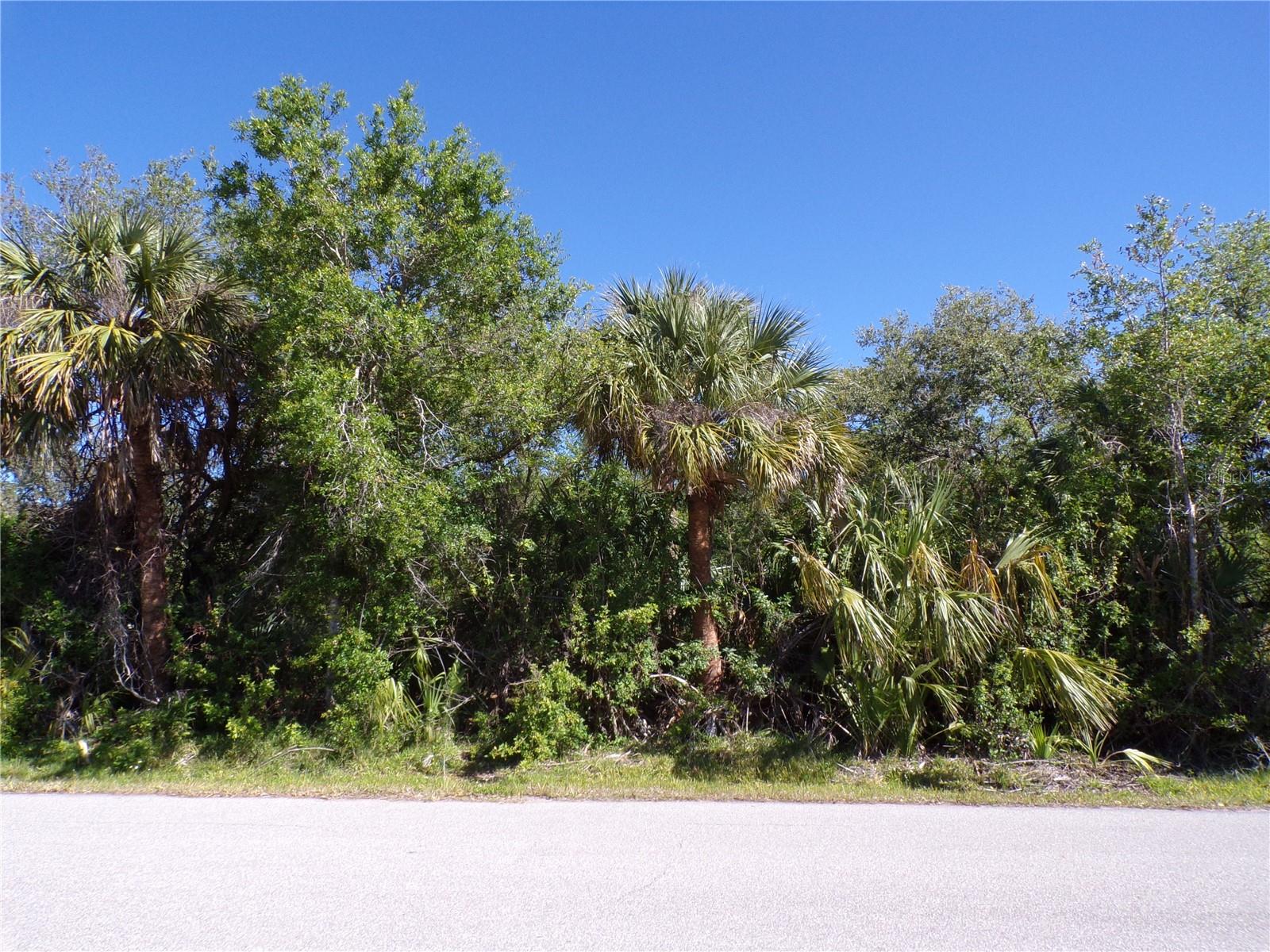 26046 SCHAM RD, PUNTA GORDA, FL