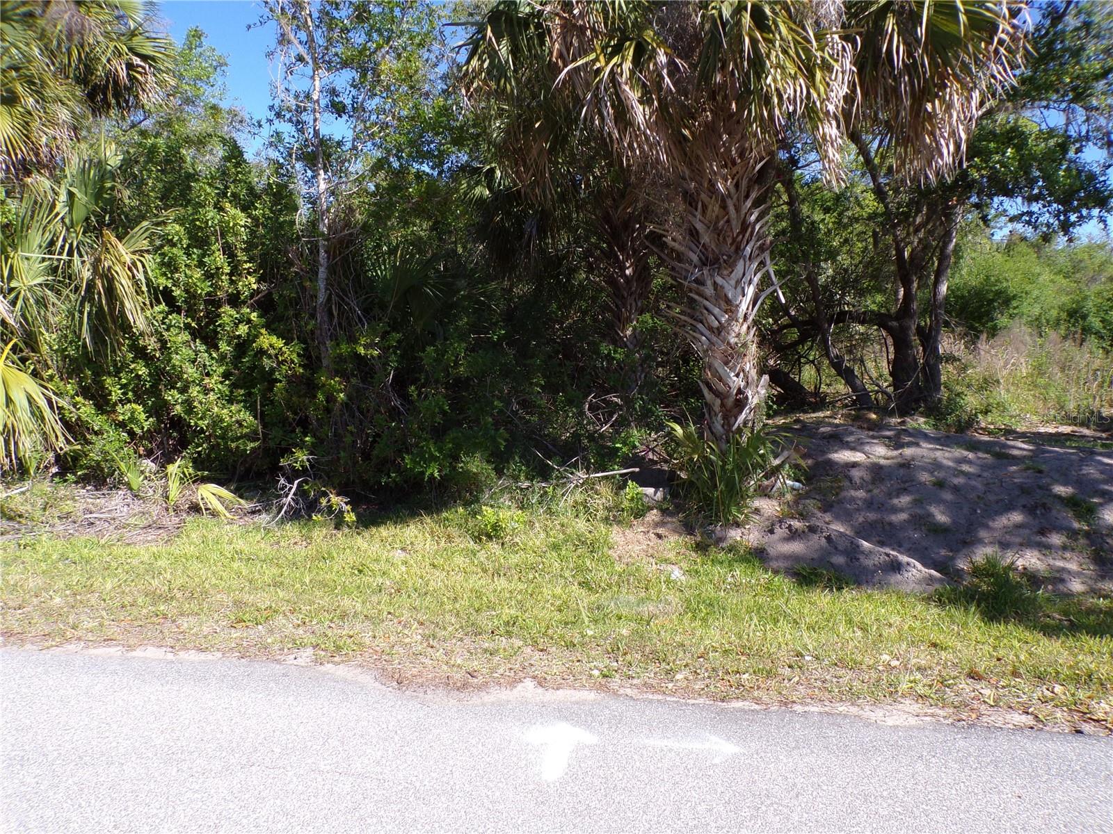 26046 SCHAM RD, PUNTA GORDA, FL — photo 6