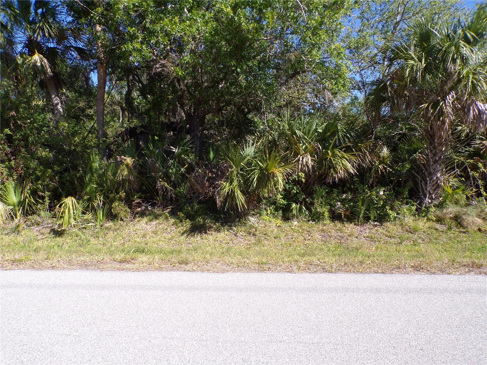 26074 SCHAM RD, PUNTA GORDA, FL — photo 5