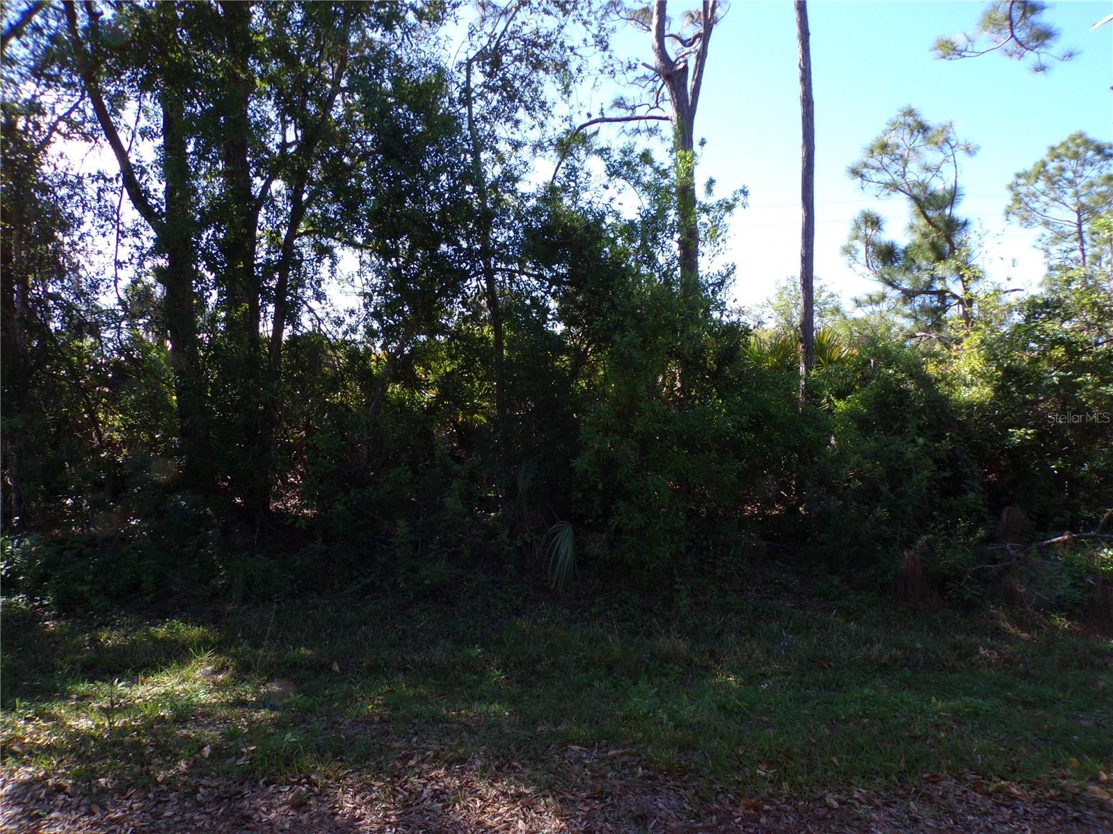 26251 HAPSBURG RD, PUNTA GORDA, FL