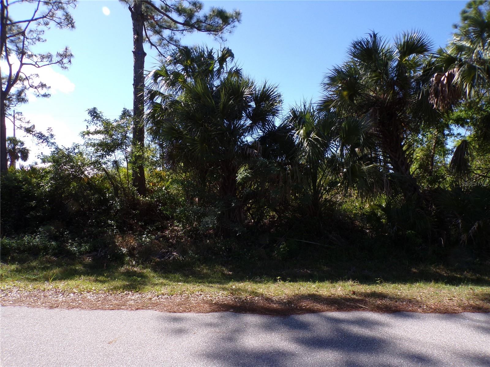 26251 HAPSBURG RD, PUNTA GORDA, FL — photo 2