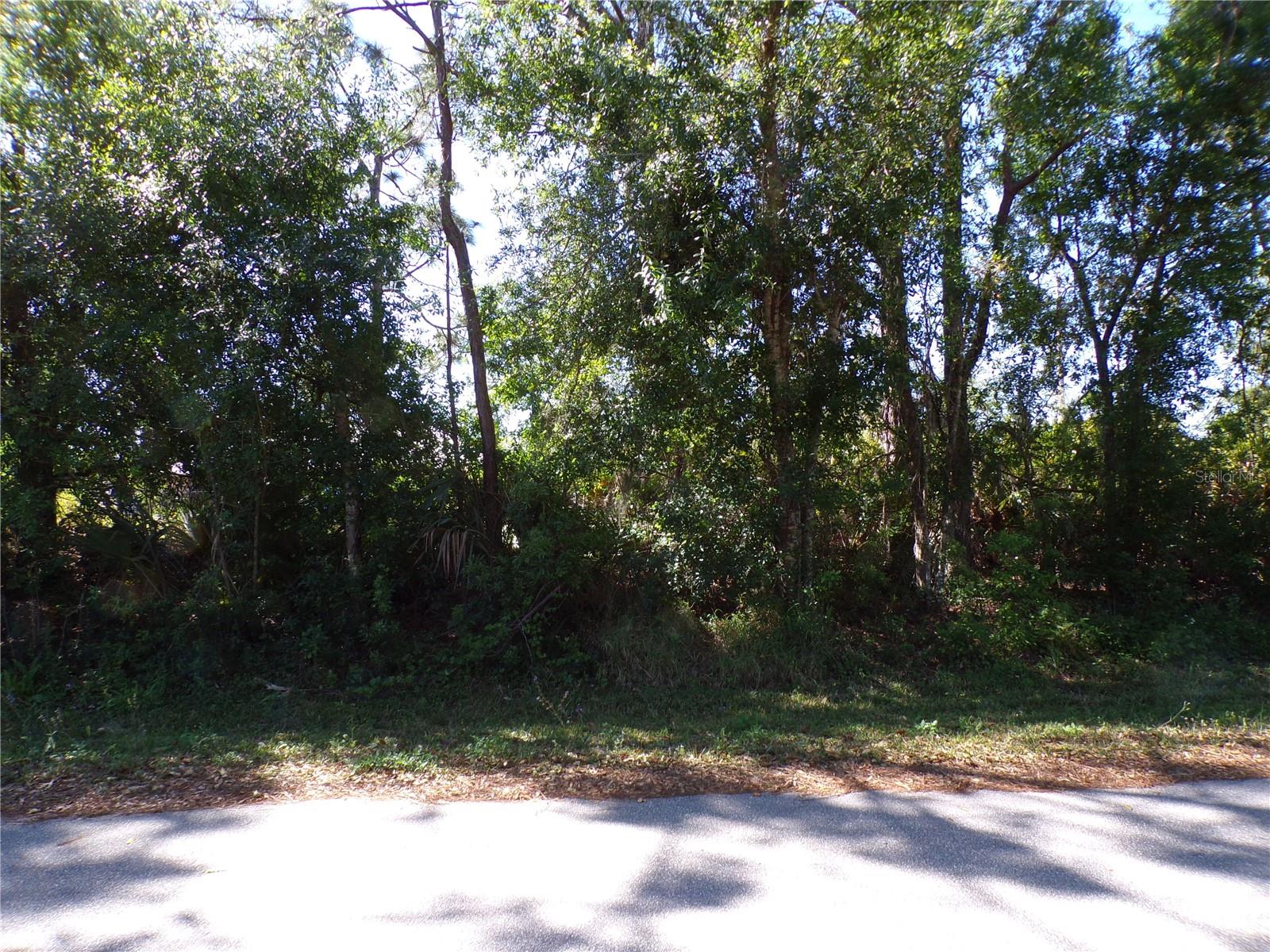 26251 HAPSBURG RD, PUNTA GORDA, FL — photo 5