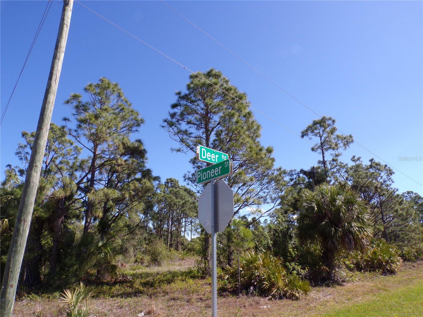 26272 DEER RD, PUNTA GORDA, FL — photo 8